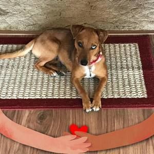 Meet your Posher, Diane